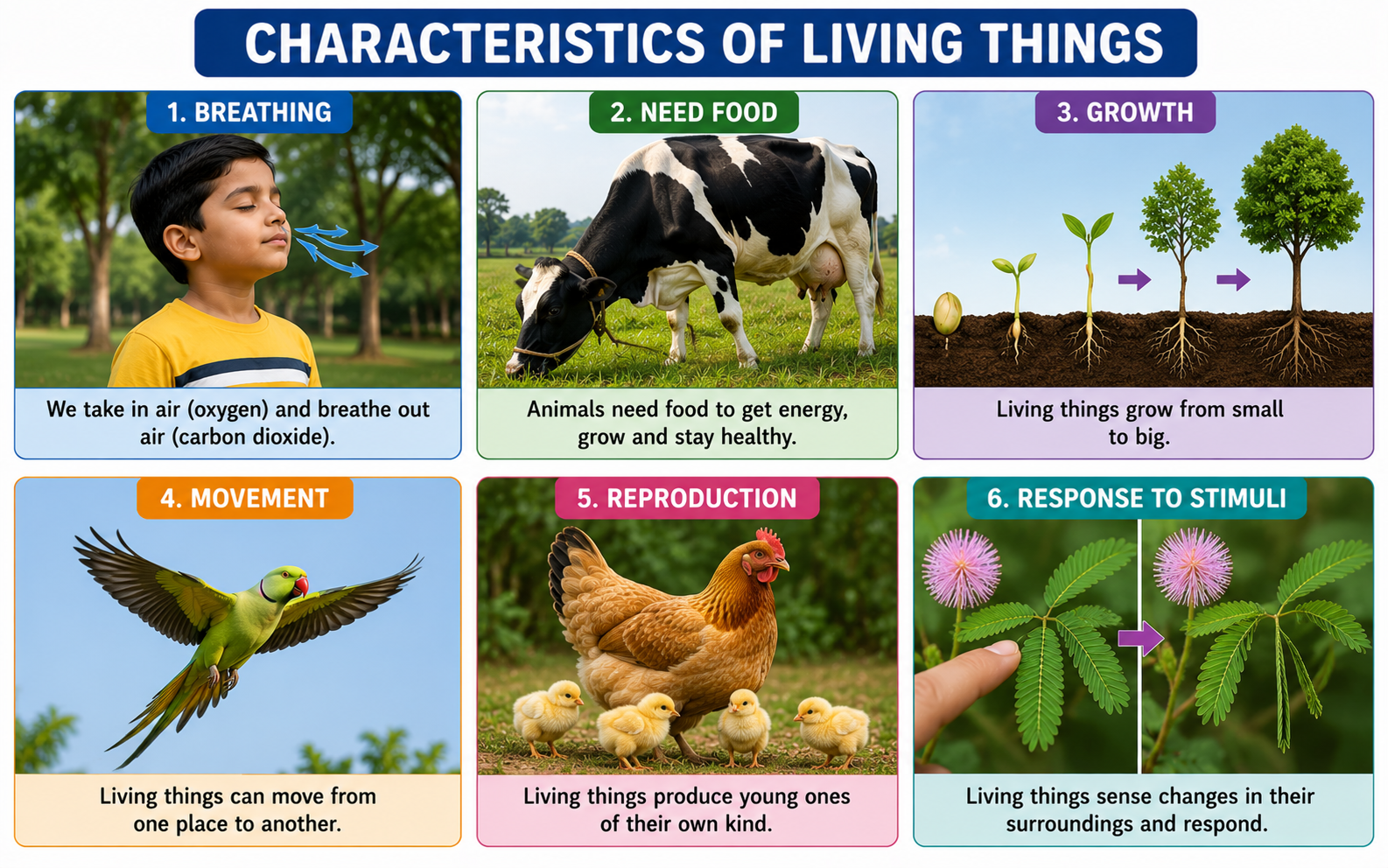 Characteristics of living things — breathing, eating, growing, moving, reproducing