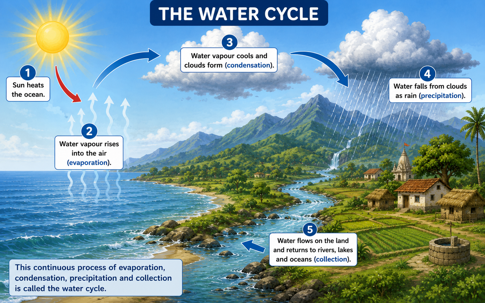 Water cycle diagram — evaporation, condensation, precipitation, collection