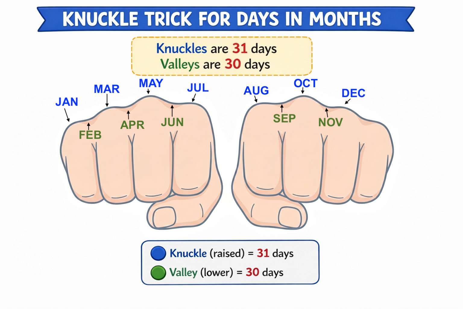 Knuckle trick showing which months have 30 or 31 days