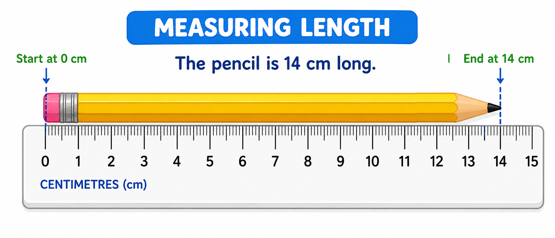 Ruler measuring a pencil showing centimetres